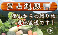 里山通信のページへ飛びます