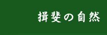 揖斐の自然