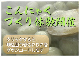 チラシPDFのダウンロード