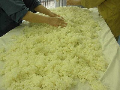 蒸し米を拡げている写真