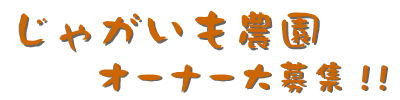 じゃがいも農園オーナー大募集！