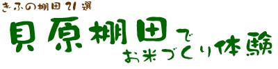 貝原棚田でお米づくり体験