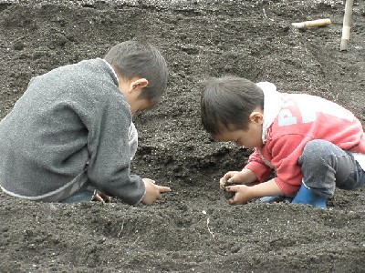 通路だけど植えちゃおうかなぁ~