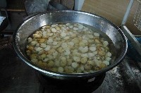 とちの実を温めている写真