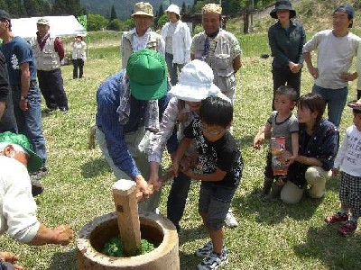 よもぎ餅つき