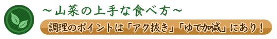 山菜の上手な食べ方(調理のポイントは「アク抜き」「ゆで加減」)